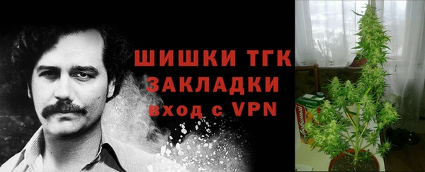 винт Козловка