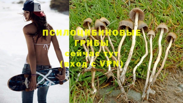 не бодяженный Корсаков