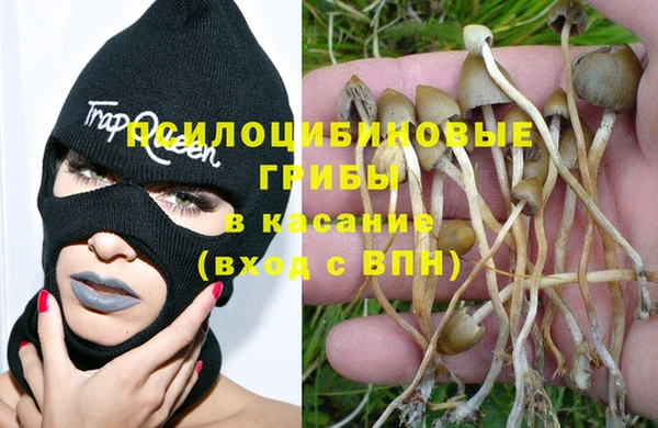 соль курить ск Козельск